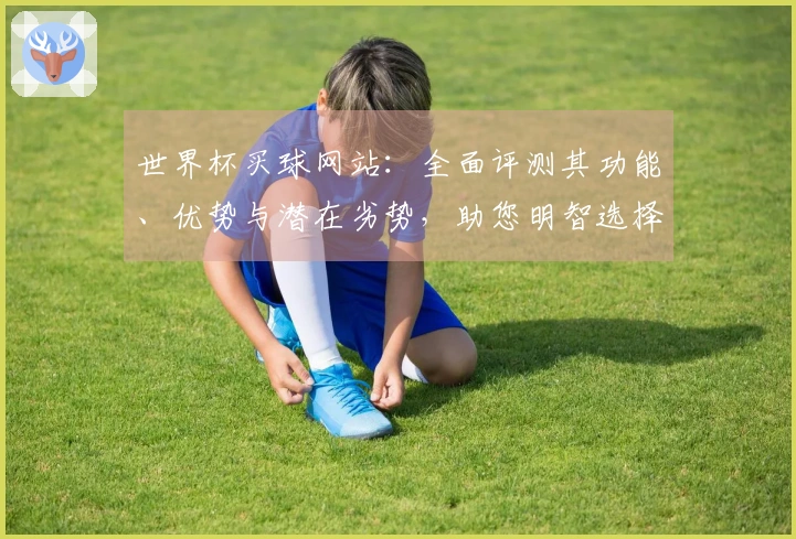世界杯买球网站：全面评测其功能、优势与潜在劣势，助您明智选择