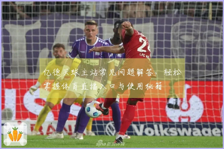 亿德买球主站常见问题解答，轻松掌握体育直播入口与使用秘籍