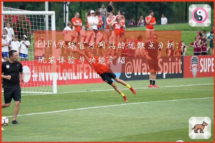 FIFA买球官方网站的优缺点分析：玩家体验与功能介绍