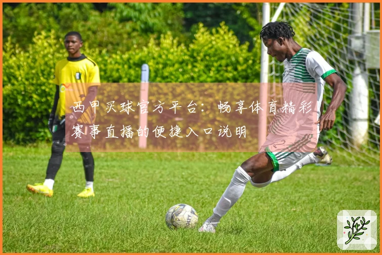 西甲买球官方平台：畅享体育精彩赛事直播的便捷入口说明