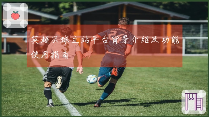 英超买球主站平台背景介绍及功能使用指南