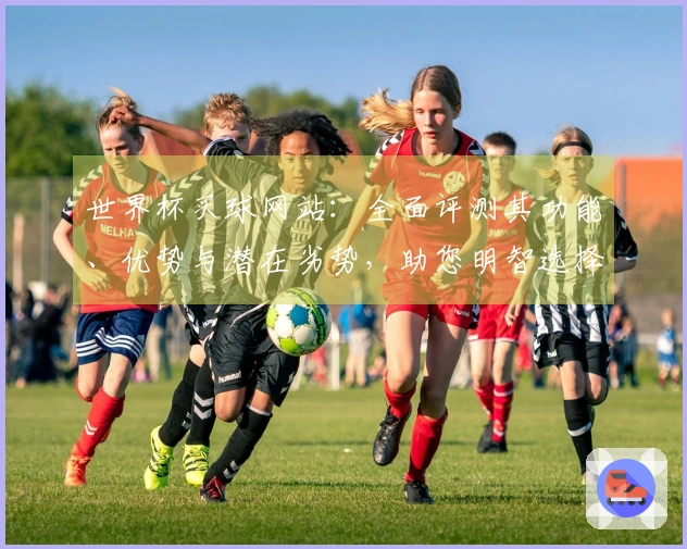 世界杯买球网站：全面评测其功能、优势与潜在劣势，助您明智选择