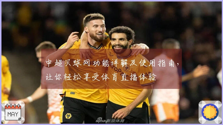 中超买球网功能详解及使用指南，让你轻松享受体育直播体验