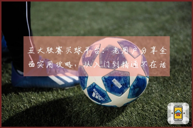 五大联赛买球平台：老用户分享全面实用攻略，从入门到精通不在话下