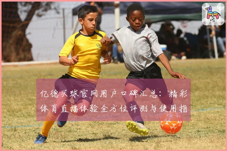亿德买球官网用户口碑汇总：精彩体育直播体验全方位评测与使用指南