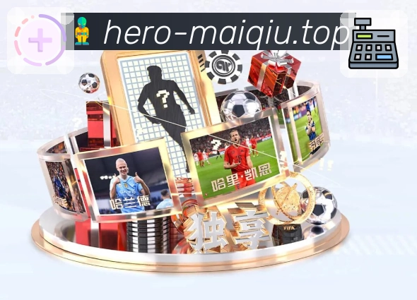 全球用户分布热度图